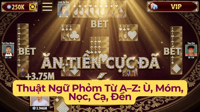 Thuật Ngữ Phỏm Từ A–Z: Ù, Móm, Nọc, Cạ, Đền… Giải Thích Chi Tiết